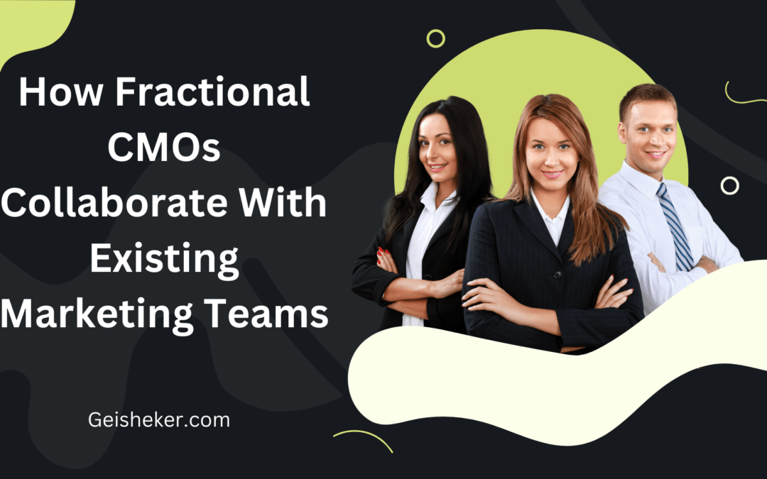How do Fractional CMOs Collaborate With Existing Marketing Teams?